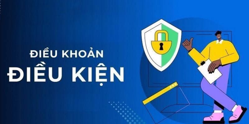 Giới thiệu về điều khoản và điều kiện